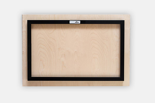 RED SQUIRREL POSING Metal print