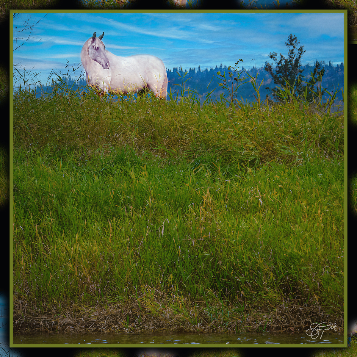 Impression de cadre personnalisé