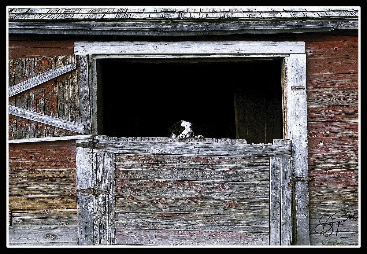 Impression de cadre personnalisé
