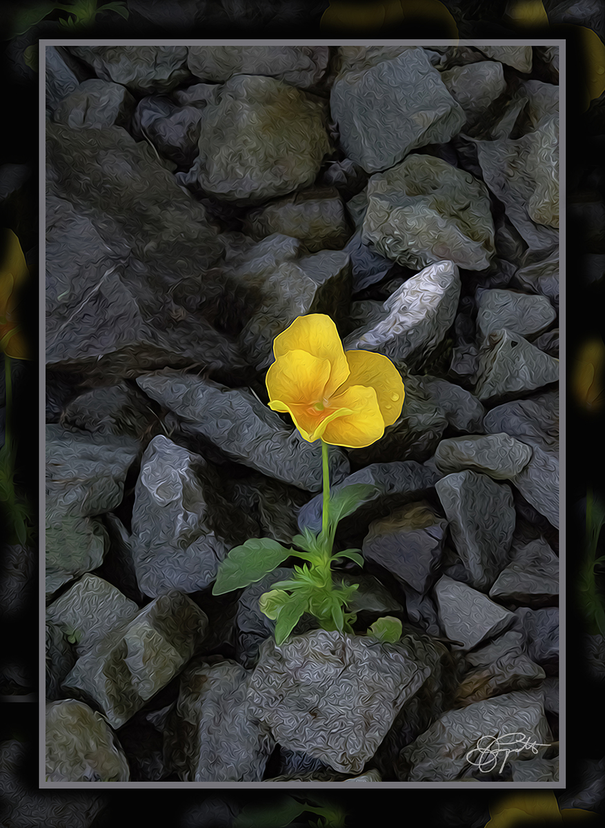 Impression de cadre personnalisé