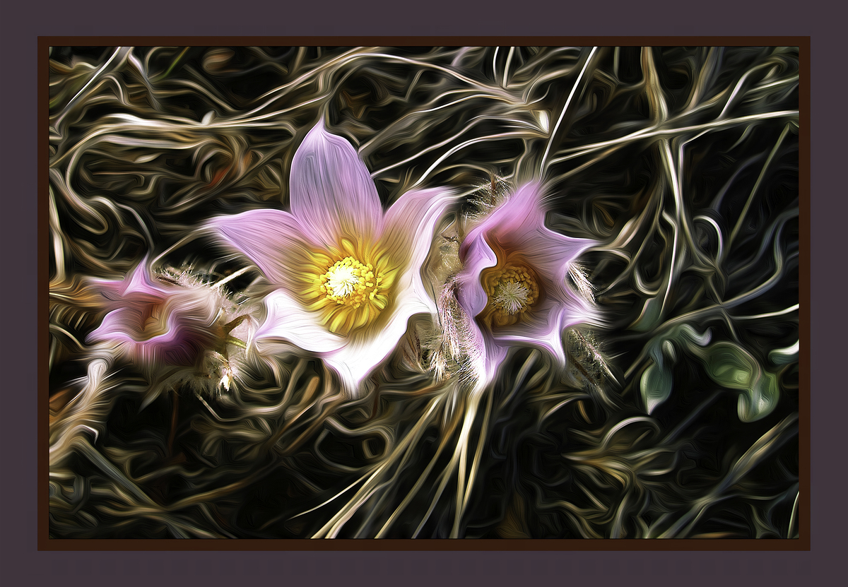 Impression de cadre personnalisé