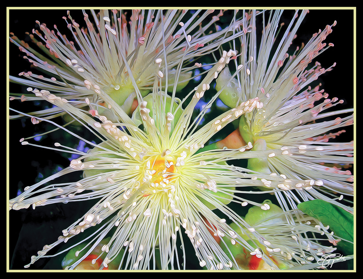 Impression de cadre personnalisé