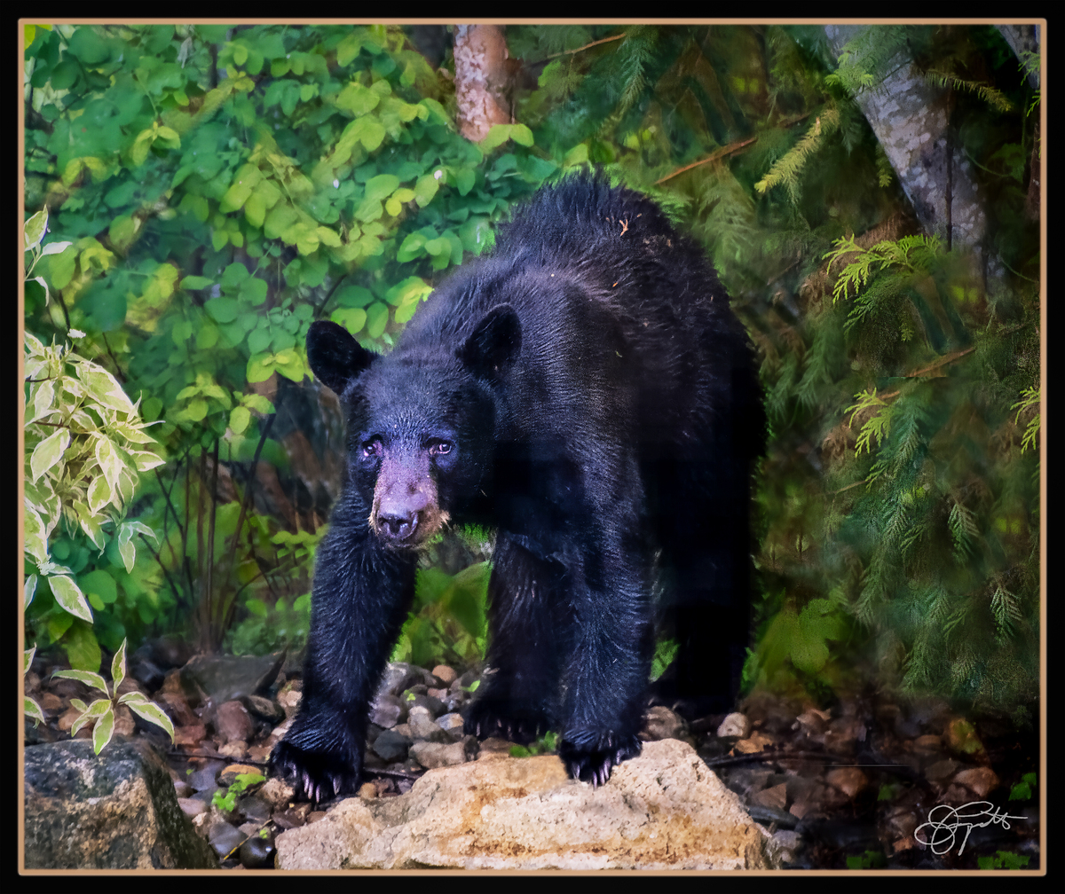 Impression de cadre personnalisé