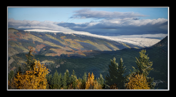 SIGNS OF WINTER ARRIVING by Jerre Paquette