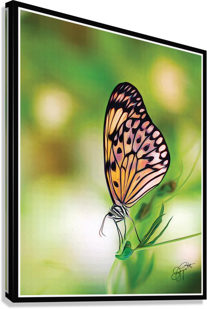 BUTTERFLY TIPTOE Canvas Print