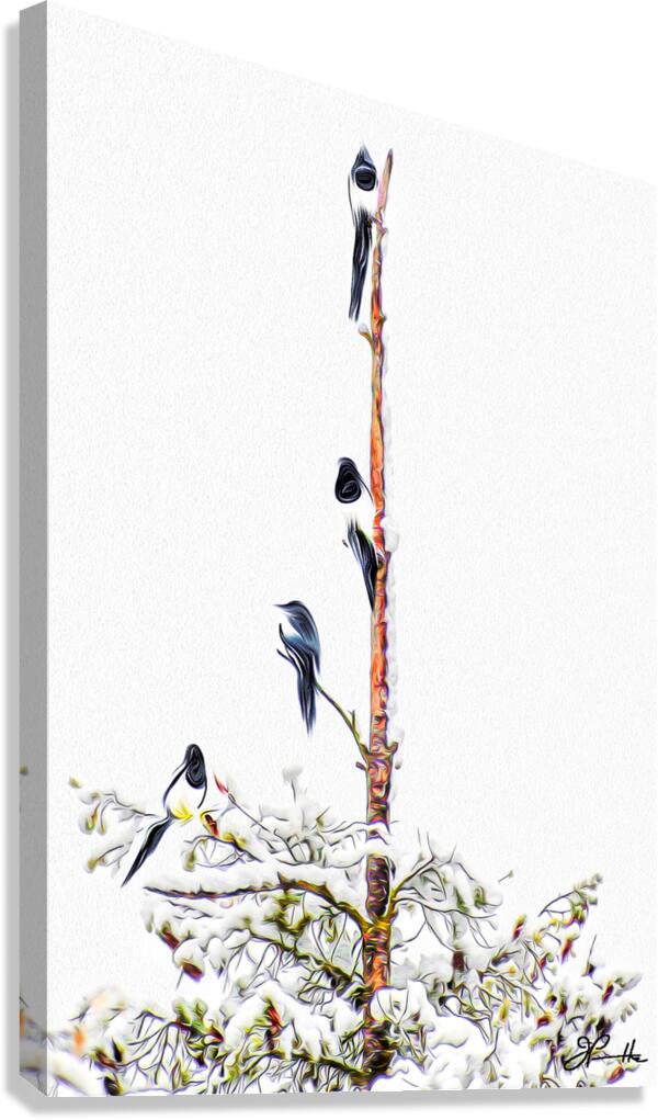 MAGPIE CONVENTION 2 IN MEETING Canvas Print