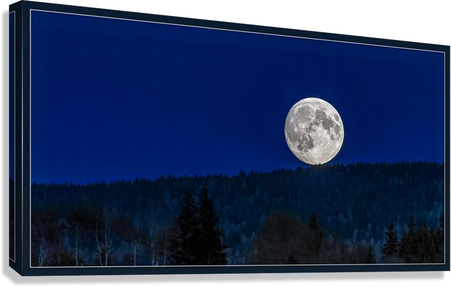 FULL MOON RESTING Canvas Print