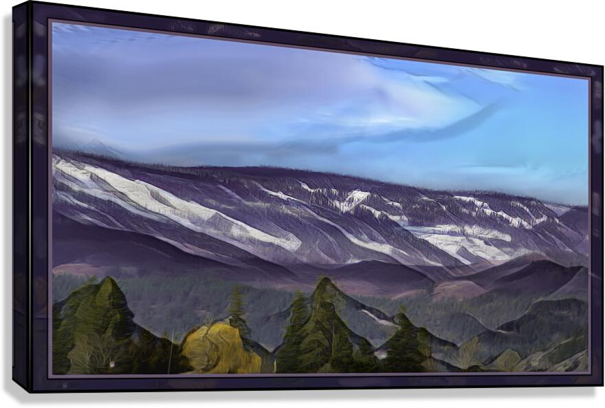 SHUSWAP SMOOTHY Canvas Print