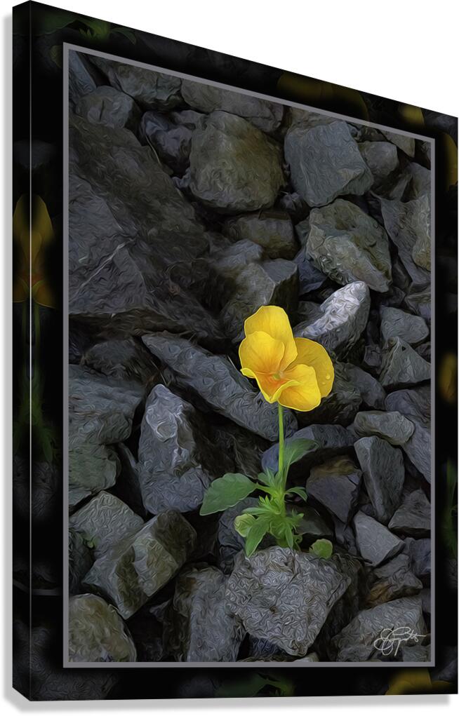 SOFT STRONG POPS UP TOO Canvas Print