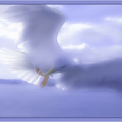 JONATHAN LIVINGSTON SEAGULL