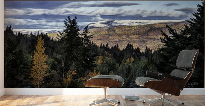 WINTERS ABOUT TO HAPPEN Wall Murals