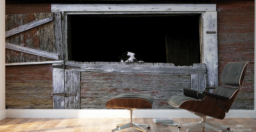 CAN I COME TOO PLEASE Wall Murals