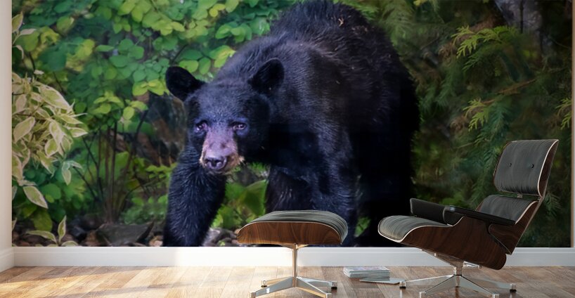 WINTER SLEEP ALL OVER Wall Murals