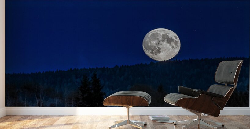 FULL MOON RESTING Wall Murals