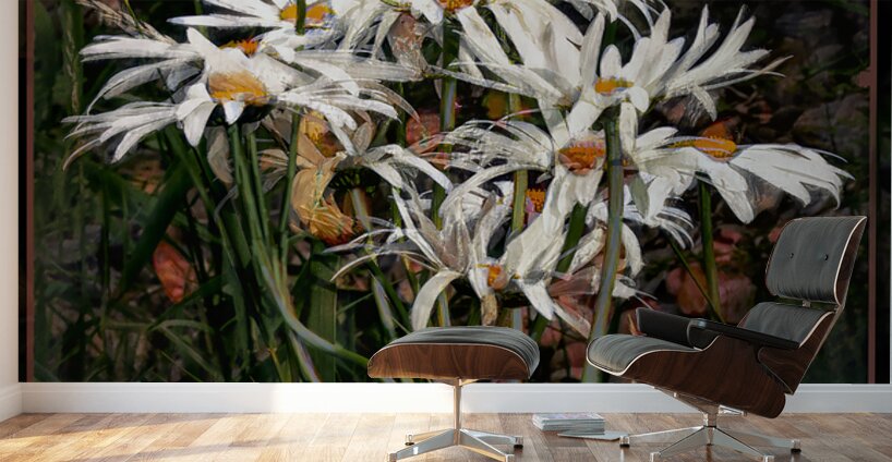 DAISIES DANCING YEAR S END RITUAL Wall Murals