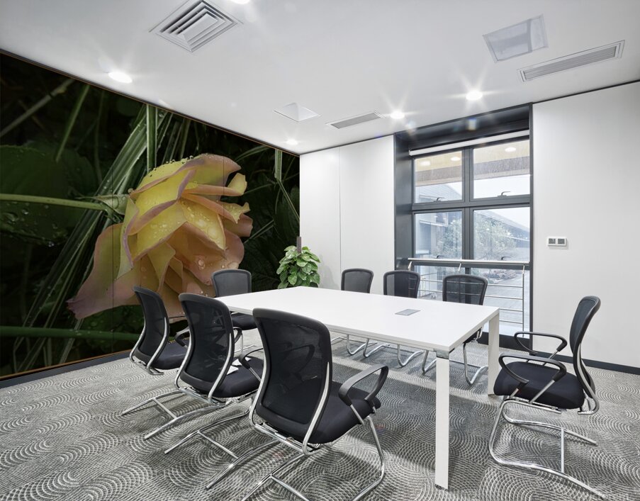 ORANGE YELLOW ROSE Wall Printing