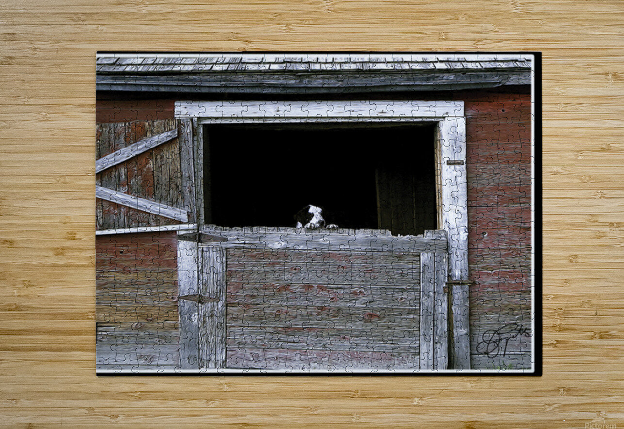 CAN I COME TOO PLEASE Jerre Paquette Puzzle printing