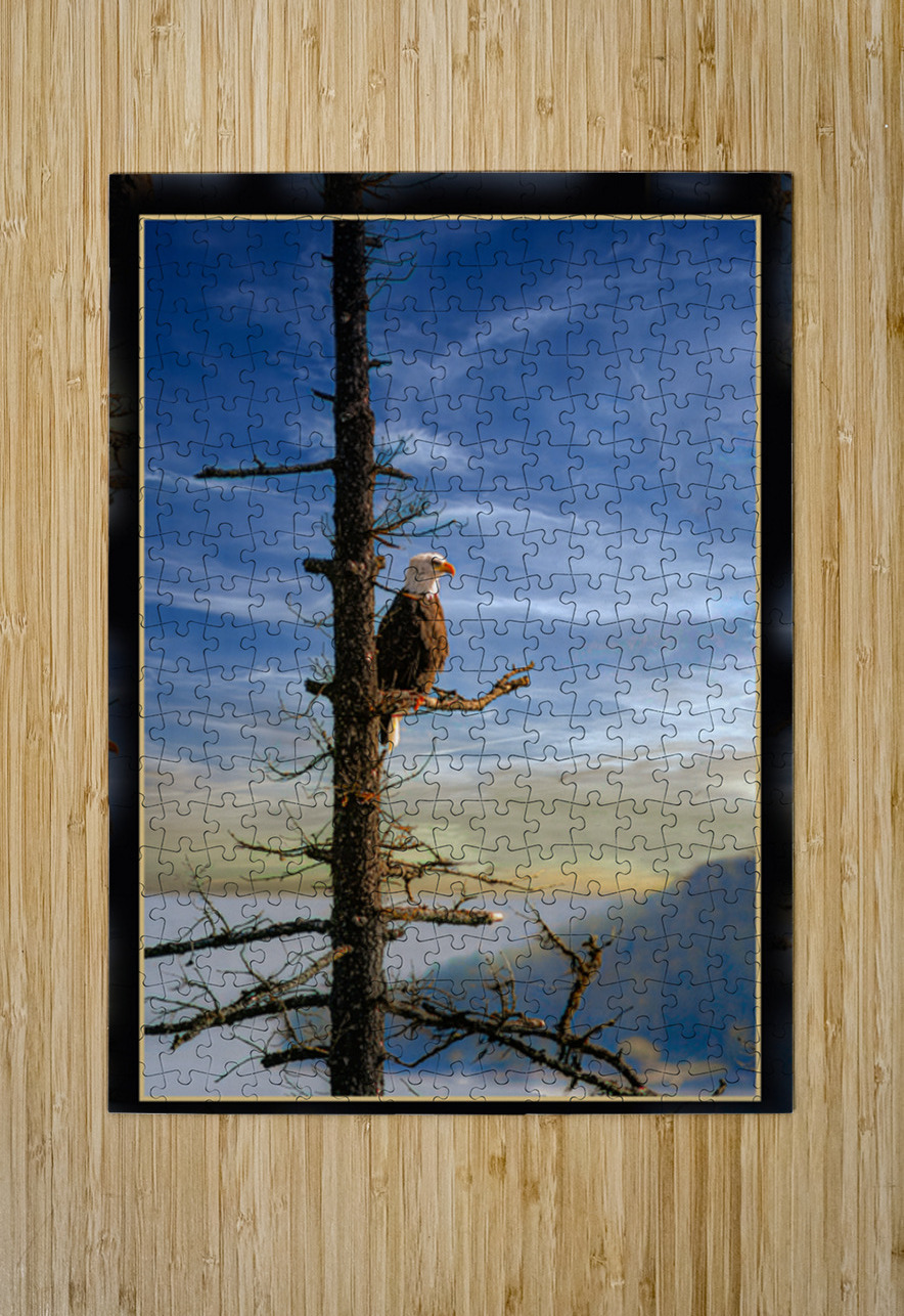 BALD EAGLE ON COPPER ISLAND Jerre Paquette Puzzle printing