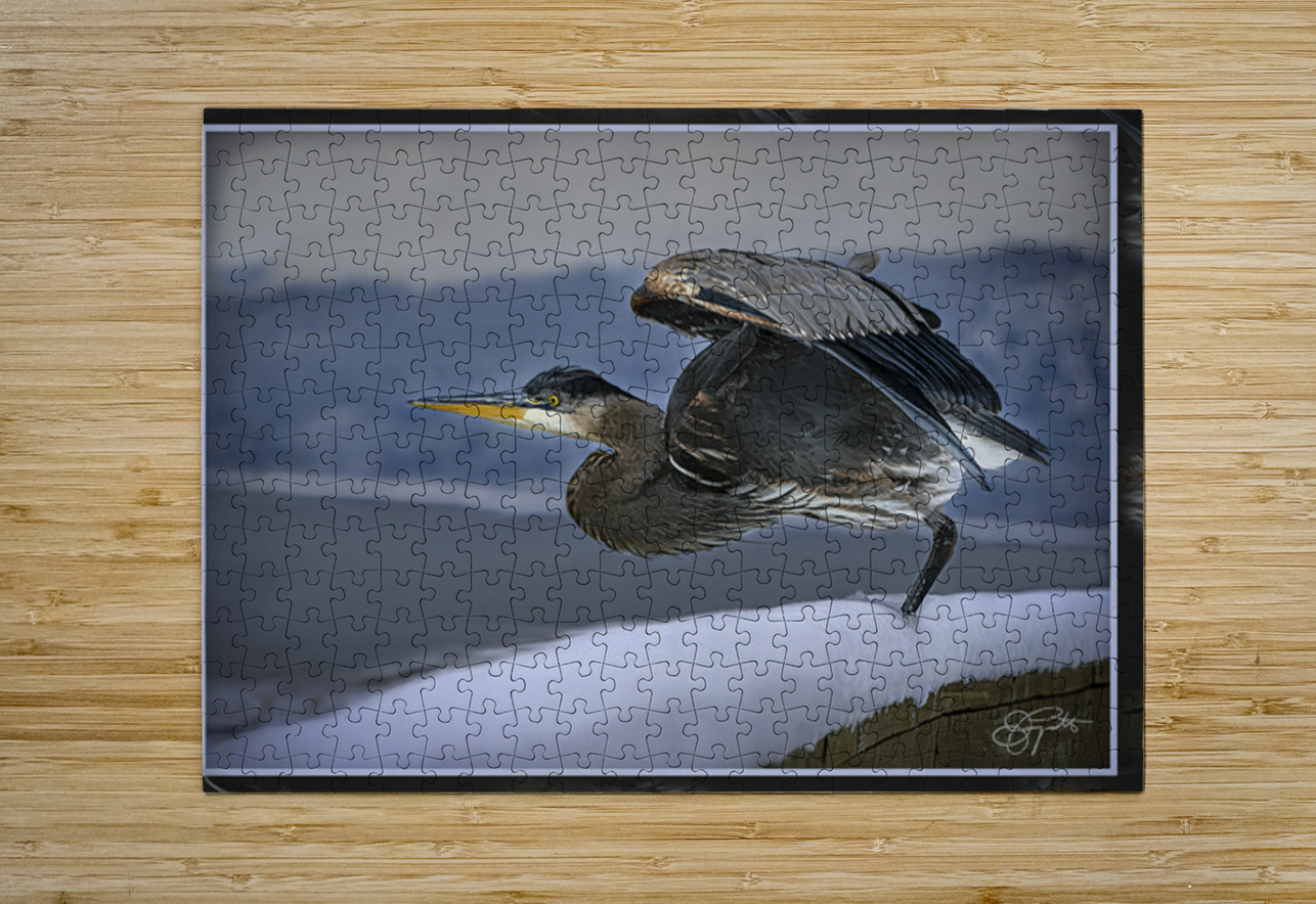BLUE HERON LIFTOFF Jerre Paquette Puzzle printing