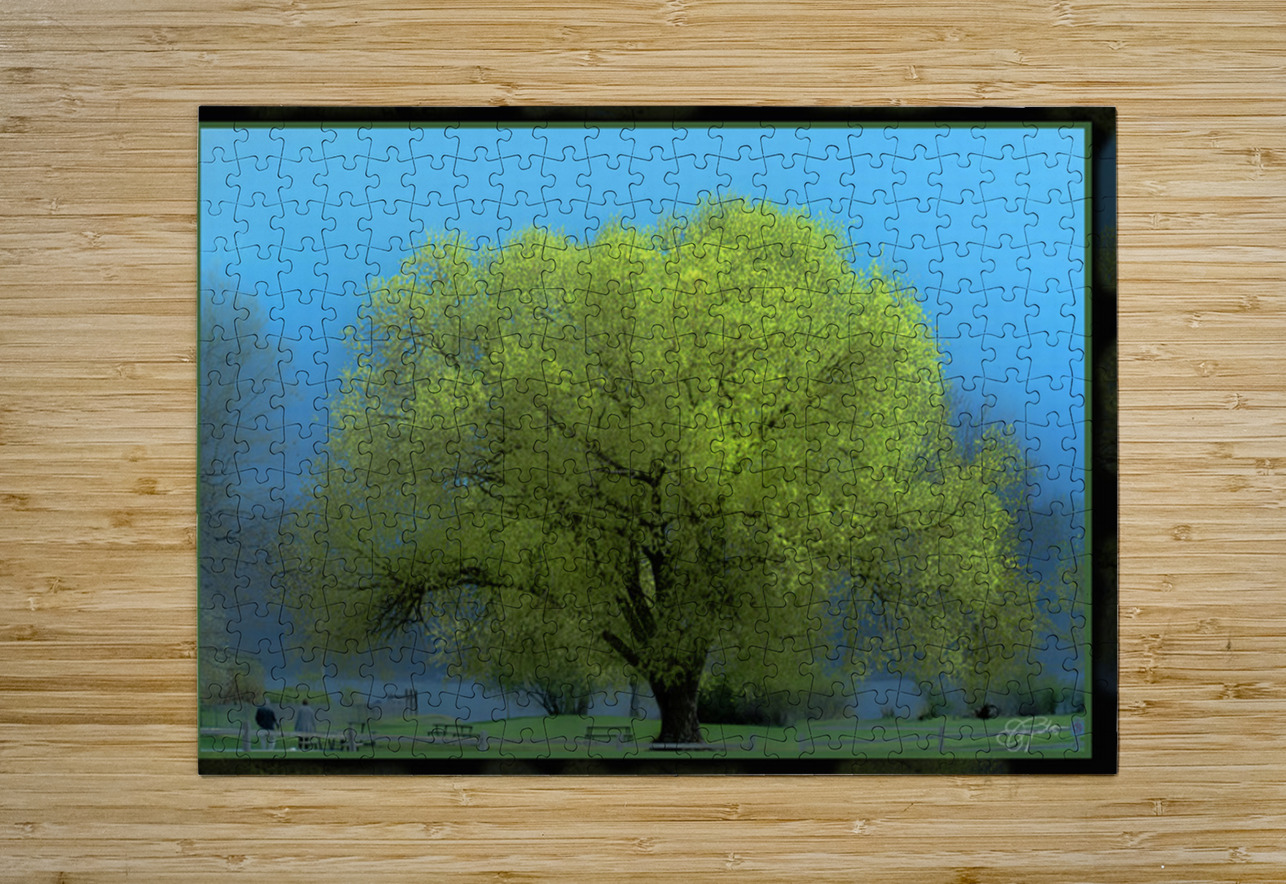 Cottonwood Poplar Jerre Paquette Puzzle printing