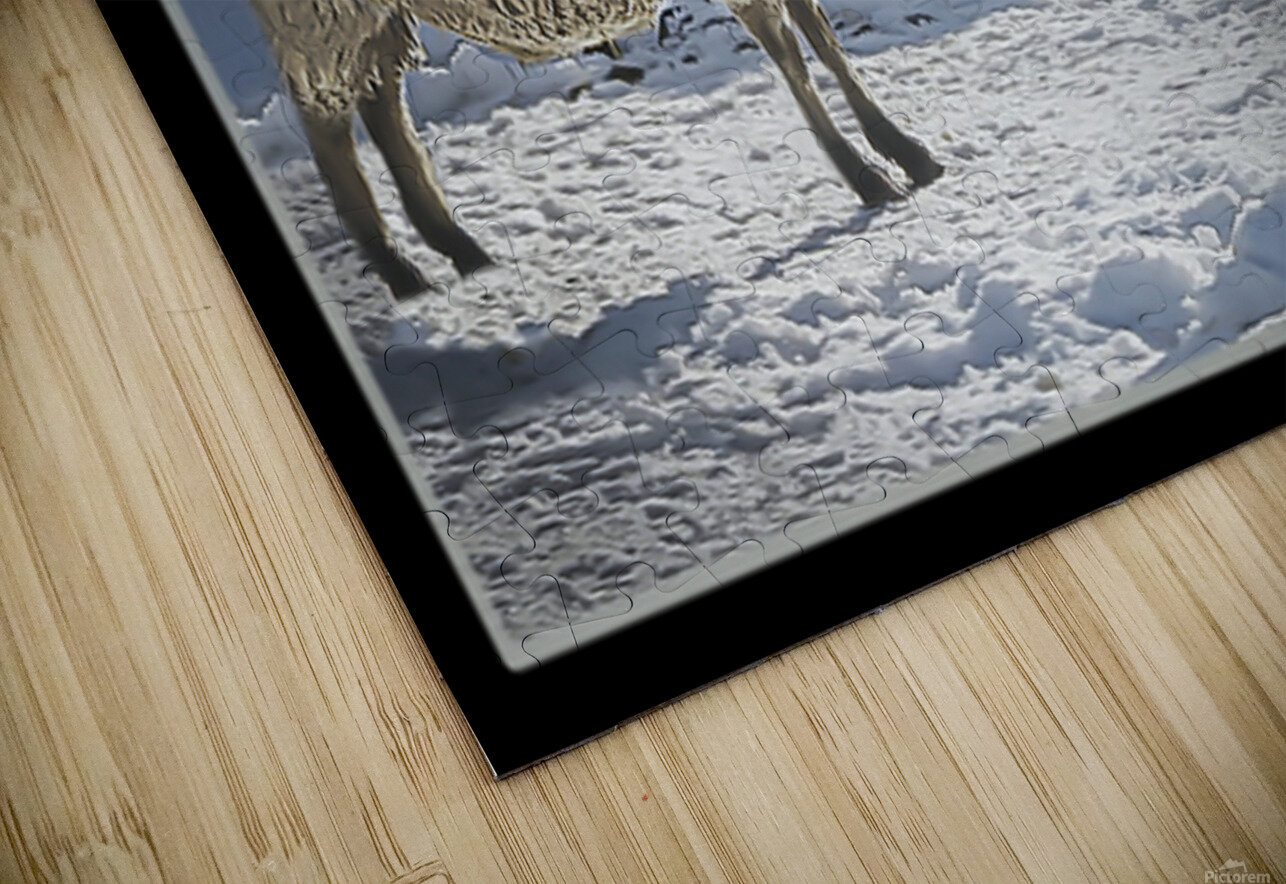 BILATERAL HERDING Jerre Paquette Puzzle