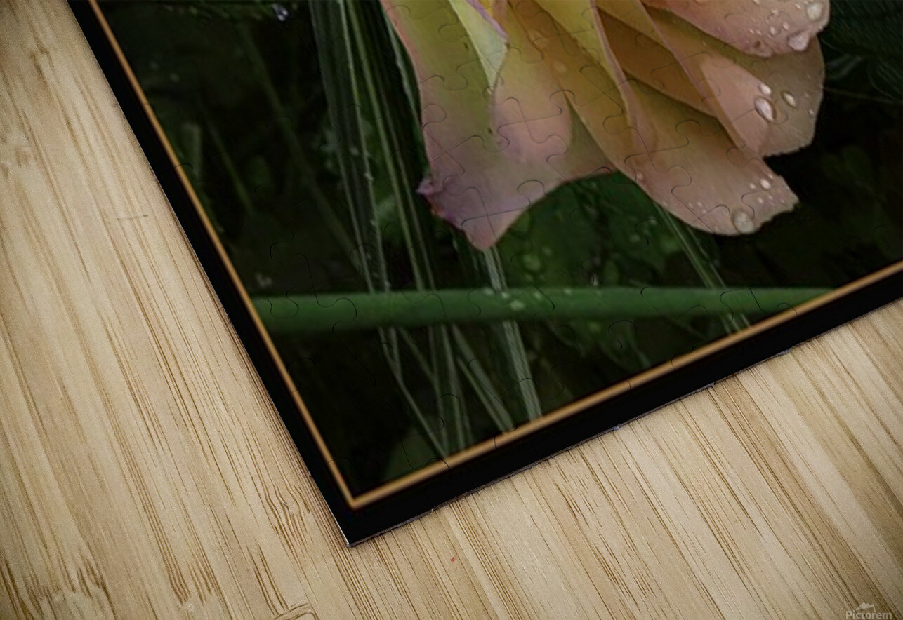 ORANGE YELLOW ROSE Jerre Paquette Puzzle