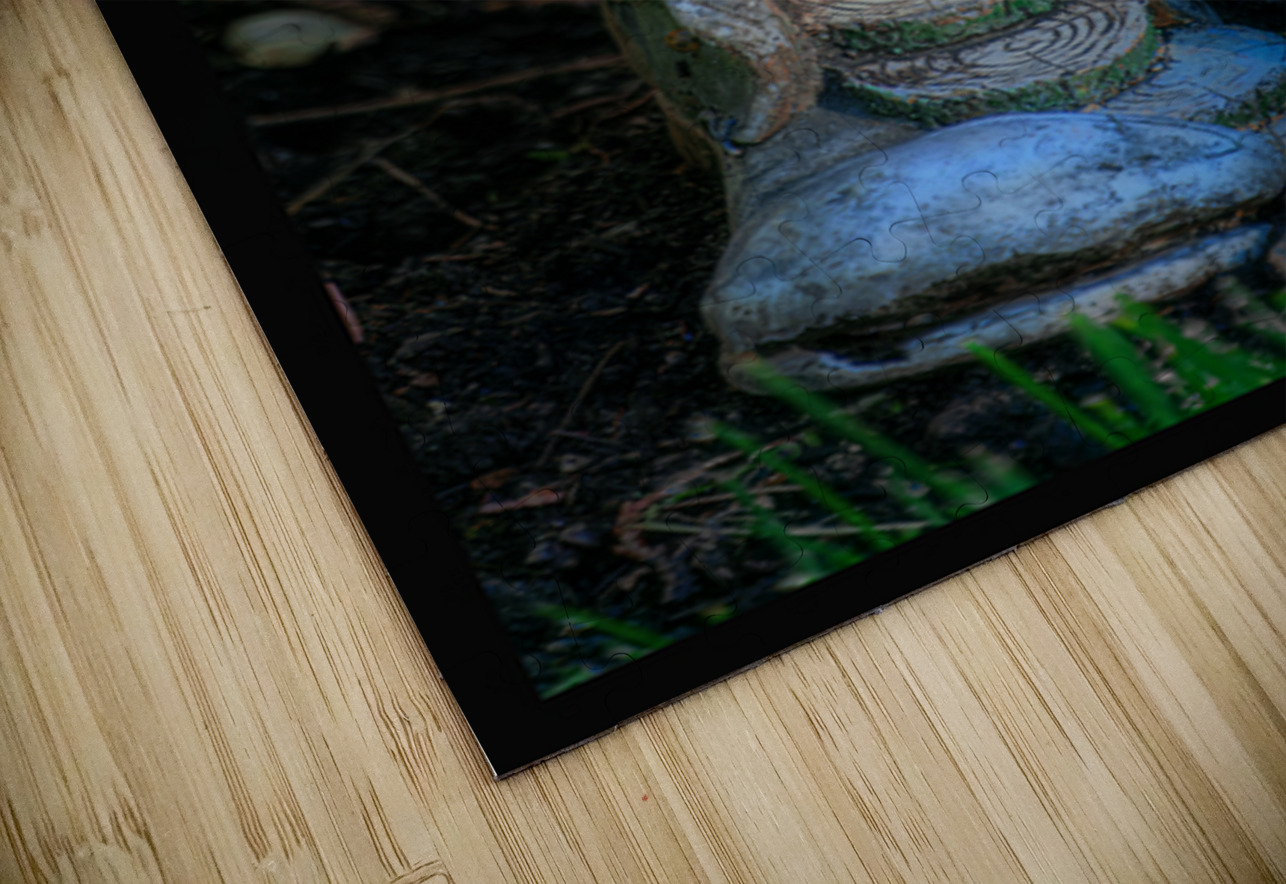 GARDEN HOUSE Jerre Paquette Puzzle