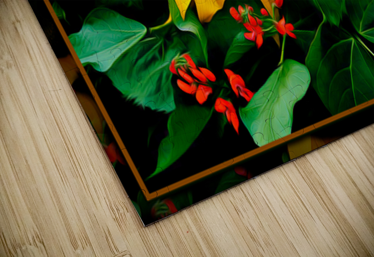 SUN FLOWER SCARLET RUNNERS Jerre Paquette Puzzle