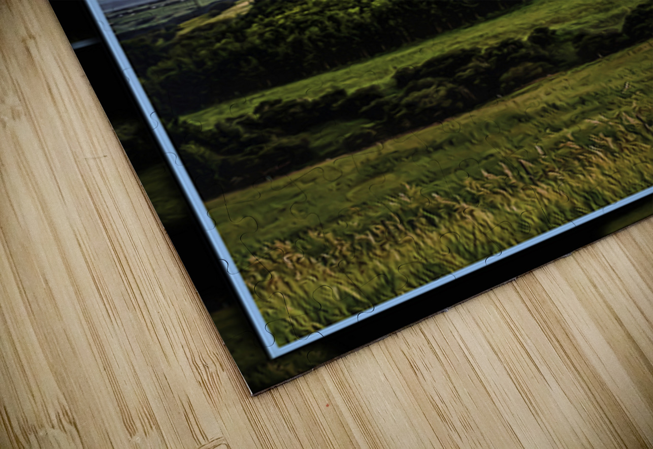 HIGHWAY LANDSCAPE Jerre Paquette Puzzle