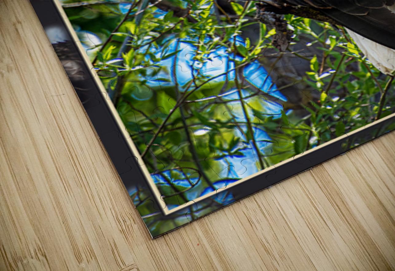 BALD EAGLE EYEING THE KAYAK Jerre Paquette Puzzle