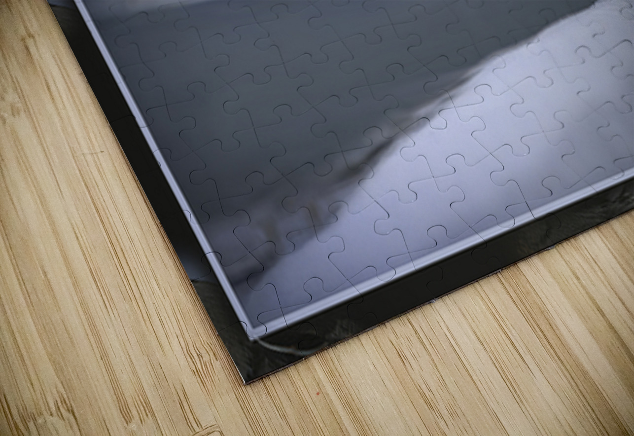 BLUE HERON LIFTOFF Jerre Paquette Puzzle